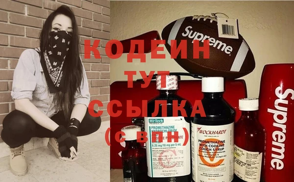 мдпв Киренск