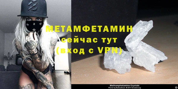 стаф Касимов