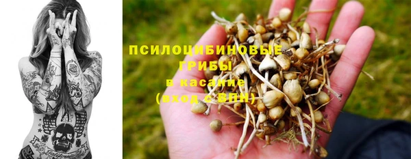 мдпв Киренск