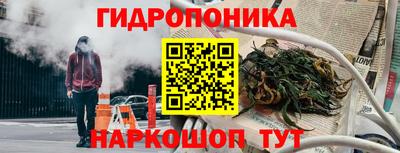 спайс Можга