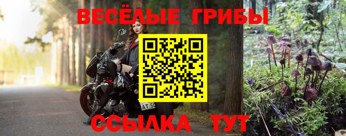 Элиста  Галлюциногенные грибы мицелий  Вход с VPN 