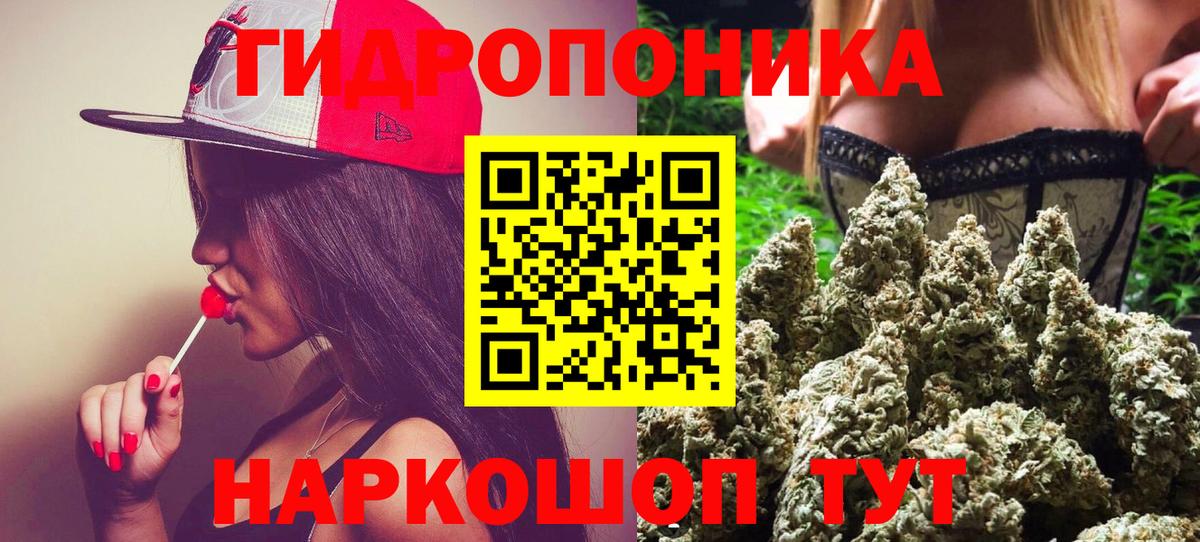Канабис семена  Марихуана семена  Вход с VPN  Элиста  Бошки марихуана тримм 